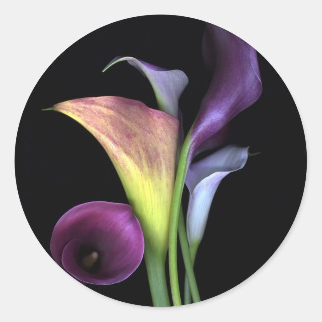 Adesivo Calla Lily Stickers (Frente)
