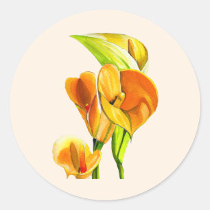 Adesivo Calla lily watercolor