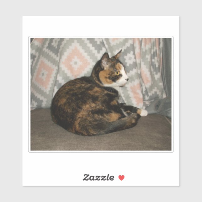 Adesivo Callie Cat em Sofa (Folha)