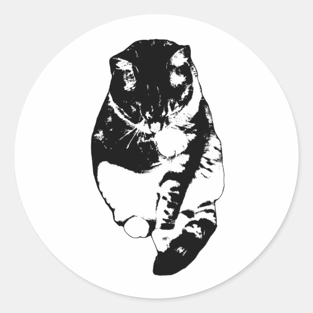 Adesivo Calm Snow Shimmer (Frente)