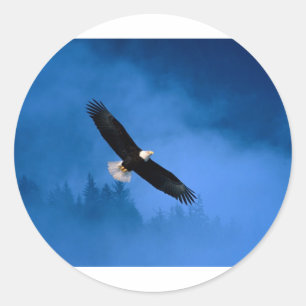 Adesivo Calvo-Eagle-Alaska