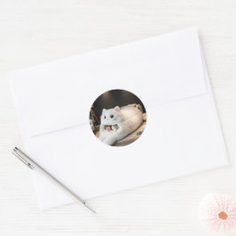Adesivo Cama de gato fofa – Personalizada