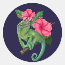 Camaleão de Jackson com Hibiscus