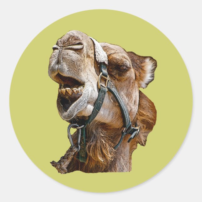 Adesivo Camel Stickers (Frente)