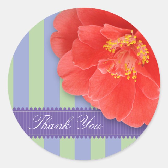 Adesivo Camelia & Stripes com Fita: Rosa (Frente)