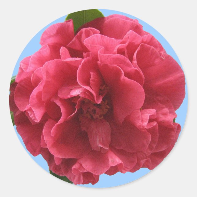 Adesivo Camellia Sticker (Frente)