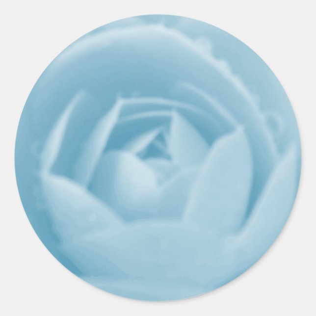Adesivo Camellia Whirlpool Sticker (Frente)