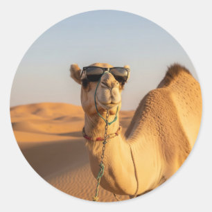 Adesivo Camelo com óculos escuros Viagem da Arábia Saudita