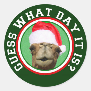 Adesivo Camelo Hump Day Adivinha Que Dia É Natal