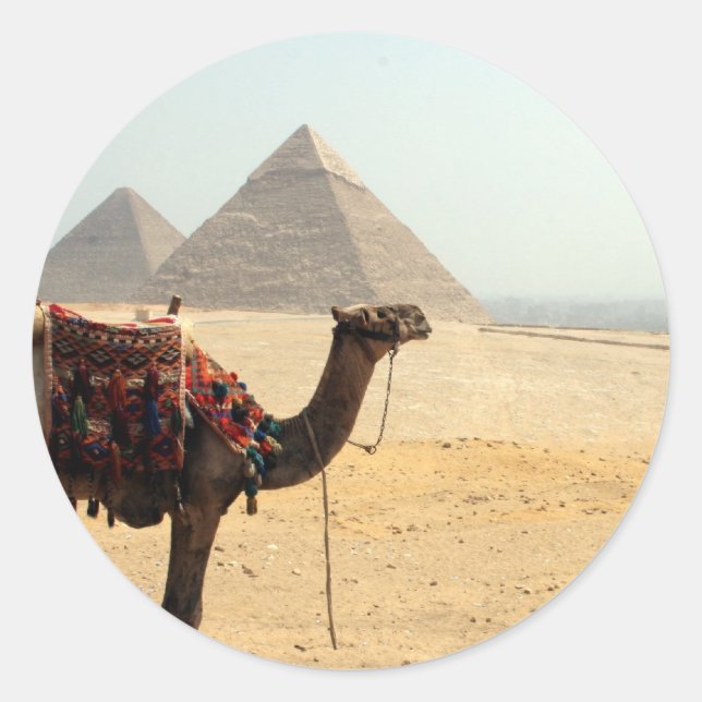Adesivo camelo pirâmide (Frente)