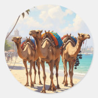 Camelos na praia em Mombasa Kenya