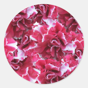 Adesivo Camelot Red Floral