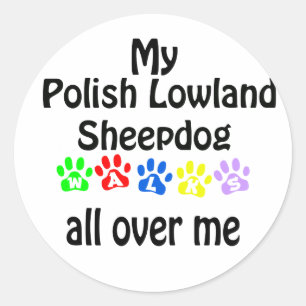 Adesivo Caminhadas de Sheepdog na Polônia