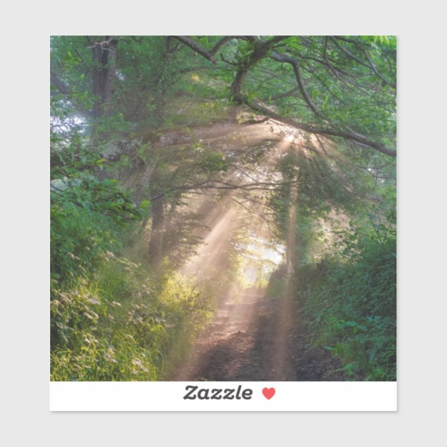 Adesivo Caminho da Floresta (Folha)