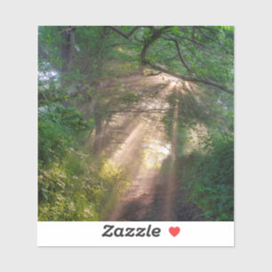 Adesivo Caminho da Floresta