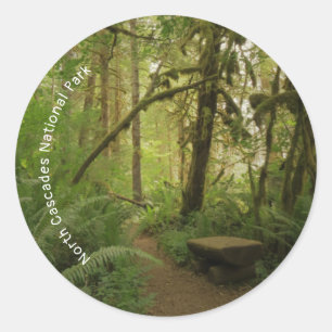 Adesivo Caminho da Floresta Verde Pacífica em Washington