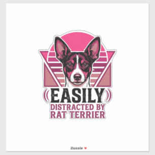 Adesivo Camisa de cachorro Rat Terrier Vintage Facilmente