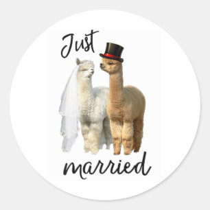 Adesivo Camisa Engraçada Alpaca Noiva E Casamento De Almoç