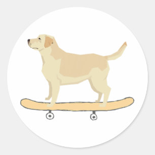 Adesivo Camisa engraçada de Labrador fazendo skate para ca