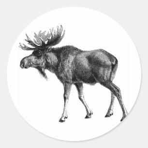 Adesivo Camisas dos alces e presentes 112
