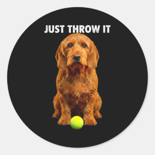 Adesivo Camiseta Basset fauve de bretagne jogue-o buscar c