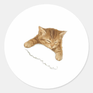 Adesivo Camiseta Gráfica do Gato Sonolento, Camiseta Vinta