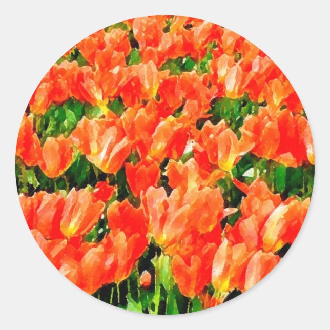Adesivo Campo laranja de tulipas (Frente)