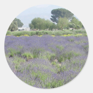 Adesivo Campos da lavanda
