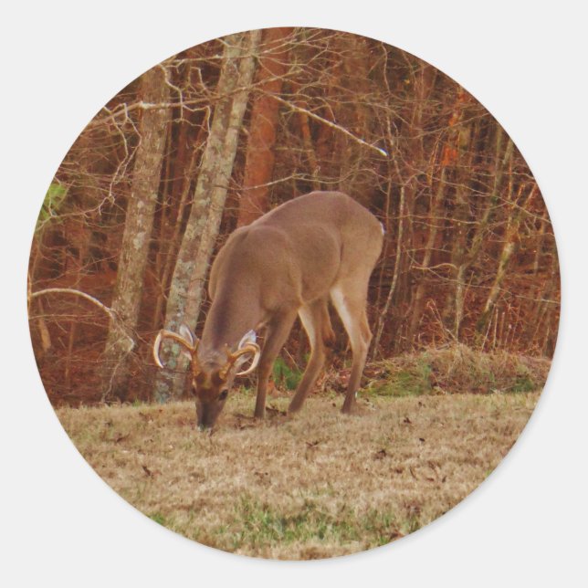 Adesivo Camuflagem de carvalho vermelho Saco de carne de v (Frente)