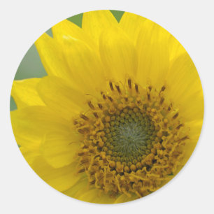 Adesivo Canadá, Colúmbia Britânica, Ilha de Vancouver 7