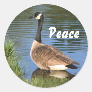 Adesivo Canadá ganose Peace Inspirational Sticker