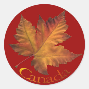 Adesivo Canadá Souvenir Stickers Maple Leaf Canada Sticke
