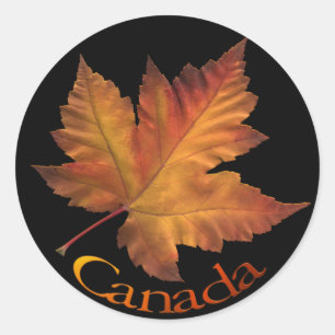 Adesivo Canadá Souvenir Stickers Maple Leaf Canada Sticke