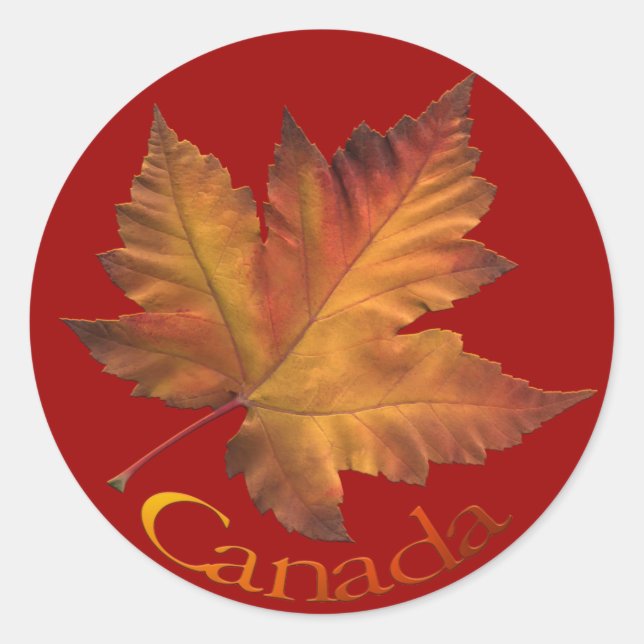 Adesivo Canadá Souvenir Stickers Maple Leaf Canada Sticker (Frente)