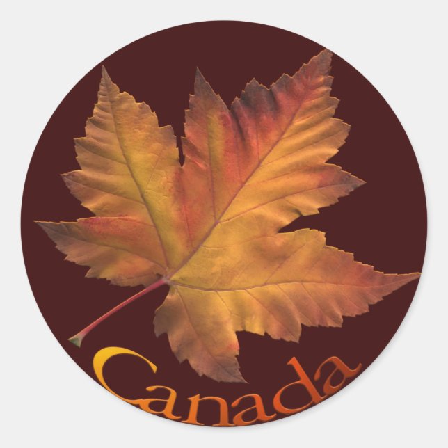 Adesivo Canadá Souvenir Stickers Maple Leaf Canada Sticker (Frente)