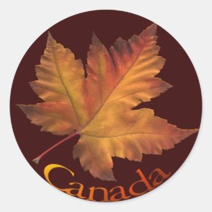 Adesivo Canadá Souvenir Stickers Maple Leaf Canada Sticker
