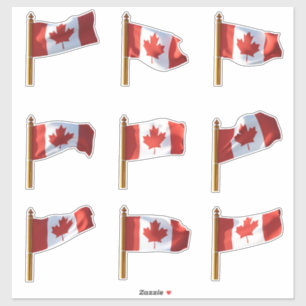 Adesivo Canadiano Flagers Série III