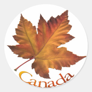 Adesivo Canadiano Suvenir Stickers Mapear Folhas