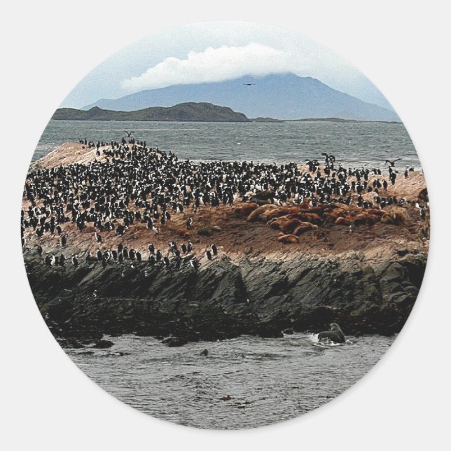 Adesivo Canal Beagle (Frente)