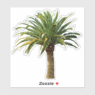 Adesivo Canário Island Date Palm Tree Sticker