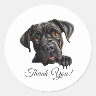 Adesivo Cane Corso Dog Obrigado