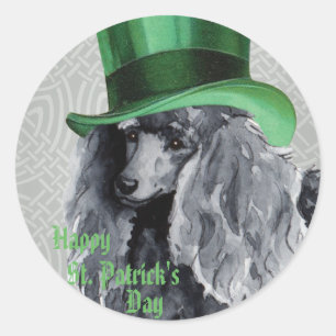 Adesivo Caniche diminuta do dia de St Patrick