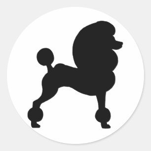 Adesivo Caniche padrão grampeada