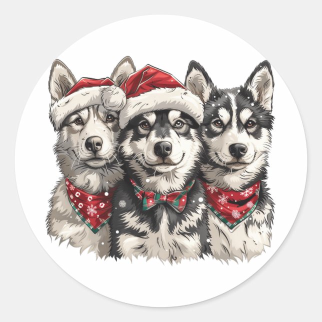 Adesivo Caninos de Rouco de Natal (Frente)
