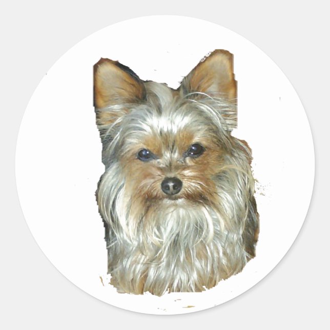 Adesivo Cão 4B,Yorkshire Terrier,Stickers (Frente)