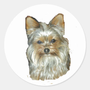 Adesivo Cão 4B,Yorkshire Terrier,Stickers