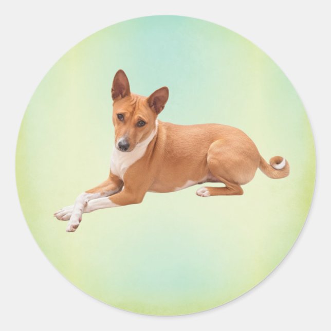 Adesivo Cão Basenji Elegante (Frente)