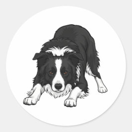 Adesivo Cão Border Collie