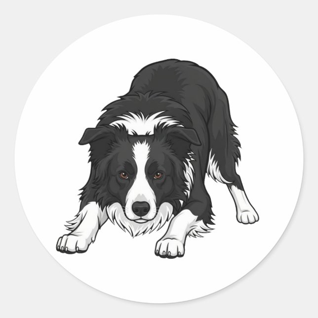 Adesivo Cão Border Collie (Frente)