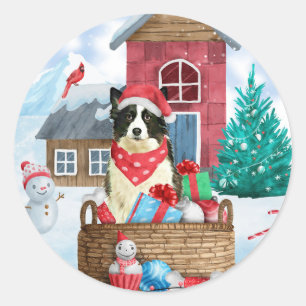 Adesivo Cão Border Collie na casa de Natal na neve